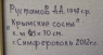 Картина Крымские сосны