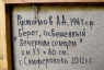 Картина Берег, освещенный вечерним солнцем